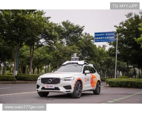 欧博手机版登陆网址官方入口导航，确保用户安全顺畅登录体验提升